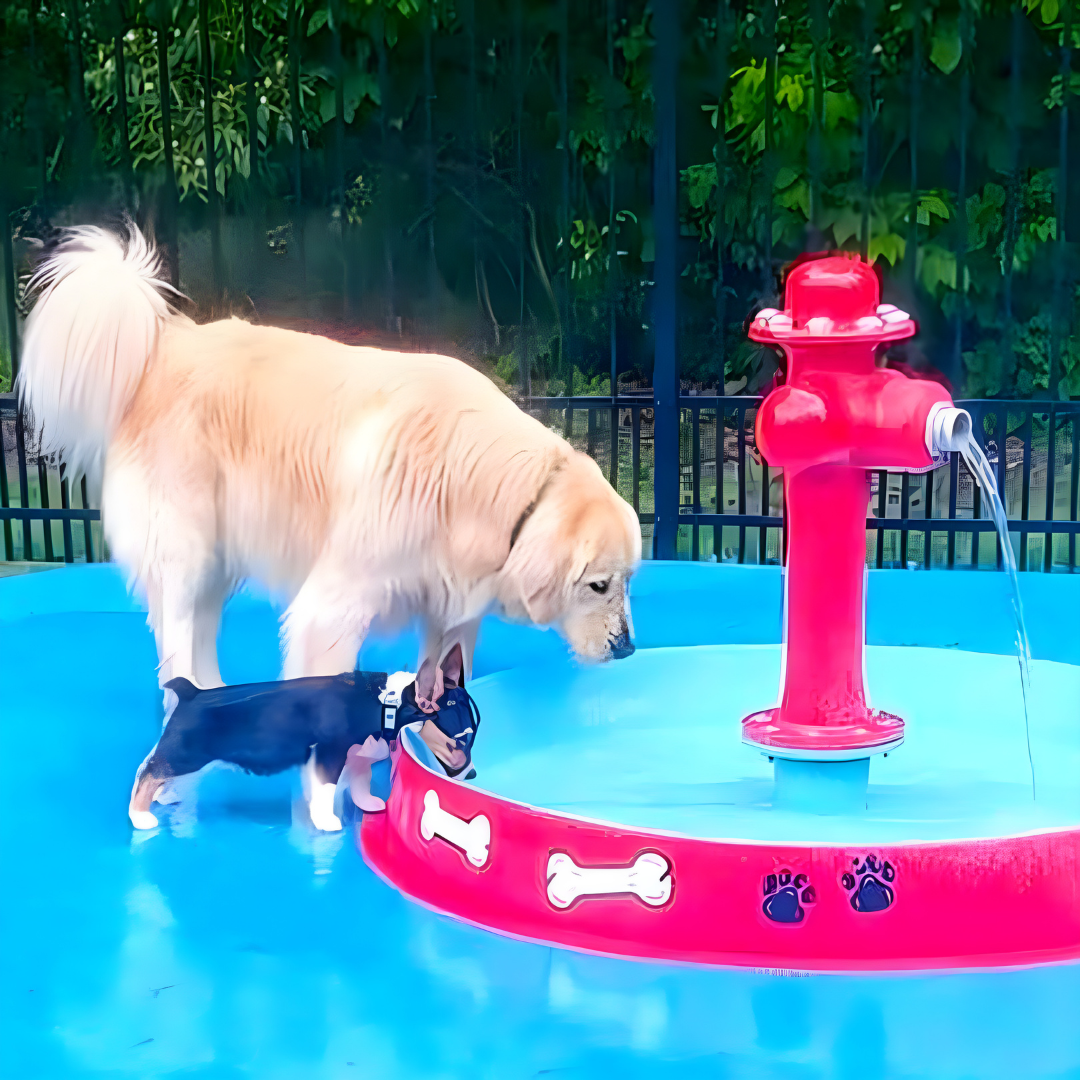 Fire Hydrant Splash Pad